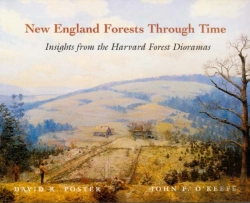 Bertrand.pt - New England Forests Through Time