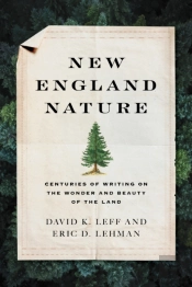 New England Nature