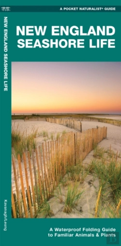Bertrand.pt - New England Seashore Life