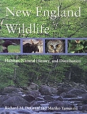 New England Wildlife