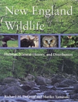 Bertrand.pt - New England Wildlife