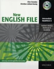 New English Filemultipack B