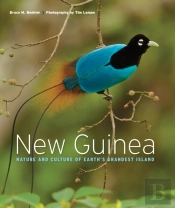 New Guinea