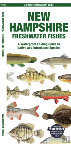 Bertrand.pt - New Hampshire Freshwater Fishes