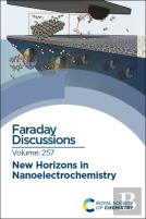New Horizons In Nanoelectrochemistry