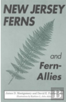 New Jersey Ferns And Fern-Allies