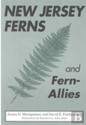New Jersey Ferns And Fern-Allies