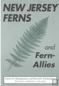 Bertrand.pt - New Jersey Ferns And Fern-Allies