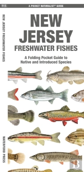 New Jersey Freshwater Fishes