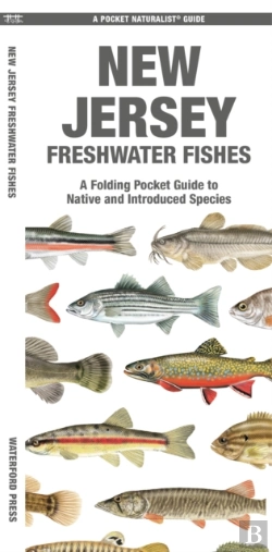 Bertrand.pt - New Jersey Freshwater Fishes