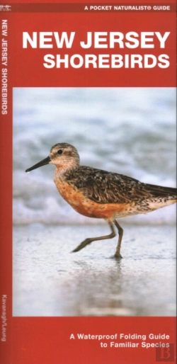 Bertrand.pt - New Jersey Shorebirds