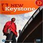 New Keystone - (Ae) - 3rd Edition (2019) - Workbook - Level D