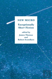 New Micro