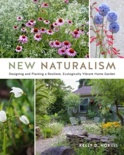 Bertrand.pt - New Naturalism