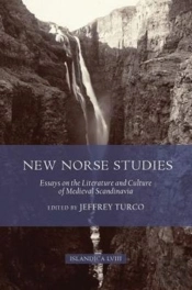 New Norse Studies