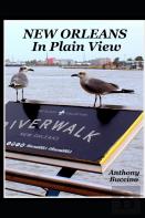 New Orleans In Plain View