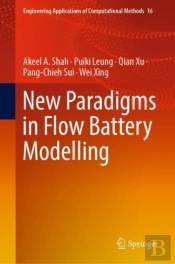 New Paradigms In Flow Battery Modelling