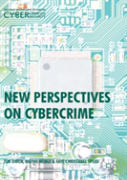 New Perspectives On Cybercrime