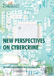 New Perspectives On Cybercrime