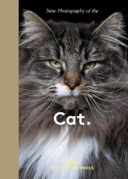 Bertrand.pt - New Photography Of The Cat.