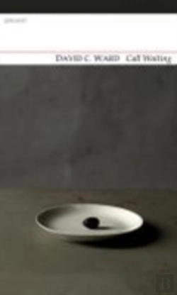 Bertrand.pt - New Poems