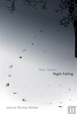 Bertrand.pt - New Tracks, Night Falling