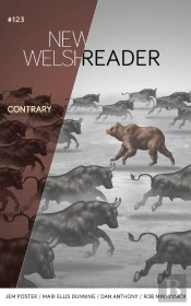New Welsh Reader