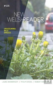 New Welsh Reader Winter 2020