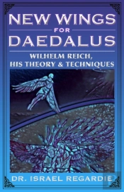 New Wings For Daedalus