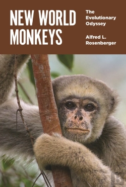 Bertrand.pt - New World Monkeys