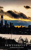 New York City Freedom Tower Manhattan Skyline Blank Page  Notebook