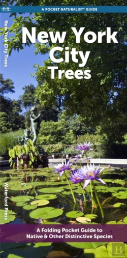 Bertrand.pt - New York City Trees