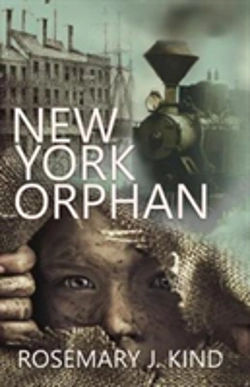 Bertrand.pt - New York Orphan