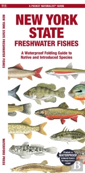 New York State Freshwater Fishes