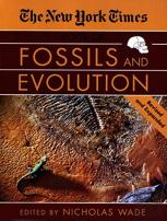 ''New York Times'' Book Of Fossils And Evolution