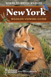 New York Wildlife Viewing Guide