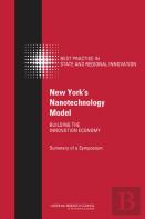 New York'S Nanotechnology Model