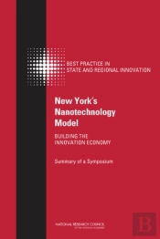 New York'S Nanotechnology Model