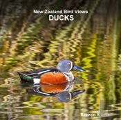 New Zealand Bird Views