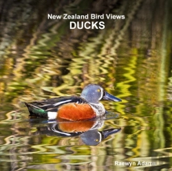 Bertrand.pt - New Zealand Bird Views