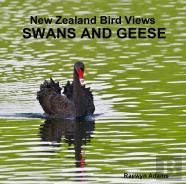 New Zealand Bird Views