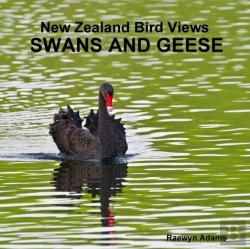 Bertrand.pt - New Zealand Bird Views