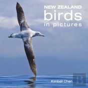 New Zealand Birds In Pictures