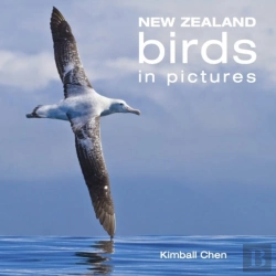 Bertrand.pt - New Zealand Birds In Pictures