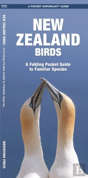 New Zealand Birds