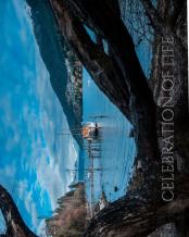 New Zealand Celebration Of Life   Remembrance  Journal