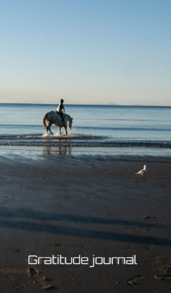 Bertrand.pt - New Zealand Gratitude Journal
