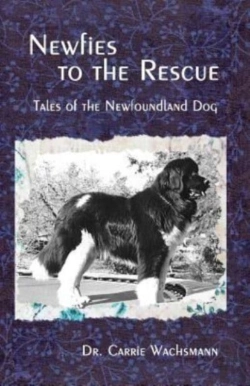 Bertrand.pt - Newfies To The Rescue