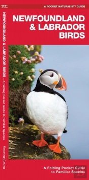 Newfoundland & Labrador Birds