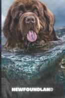 Newfoundland